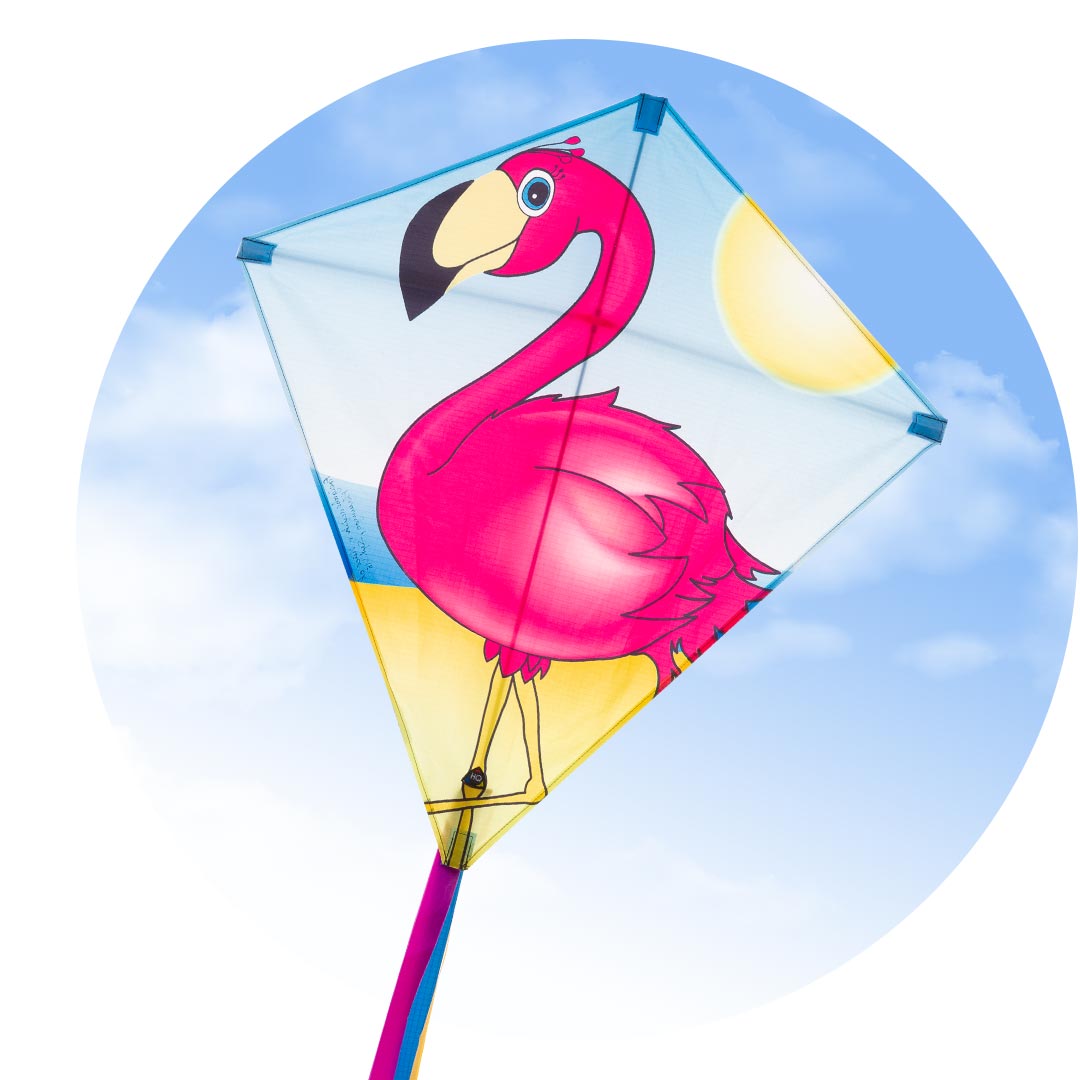Eddy Flamingo