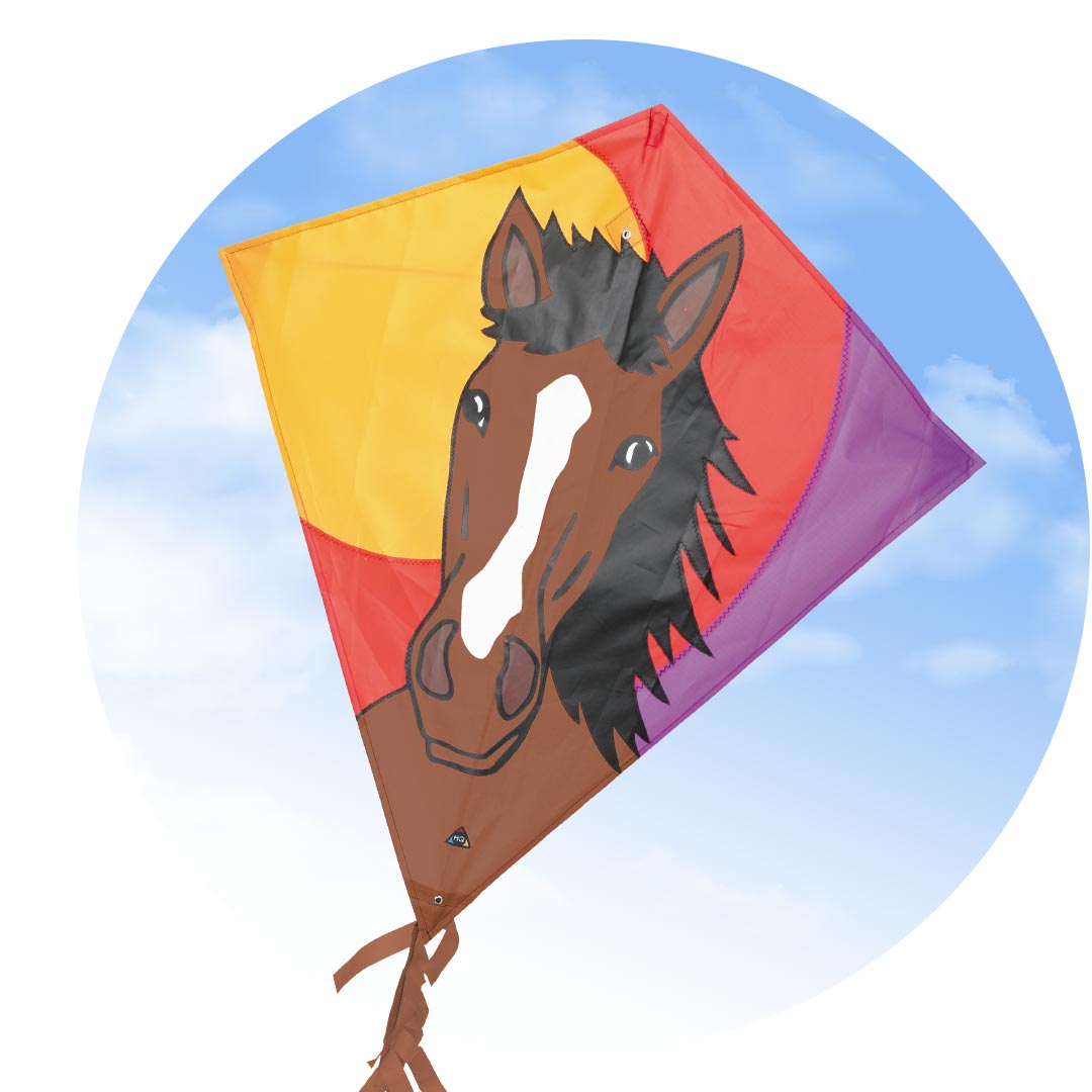 Eddy Bronco