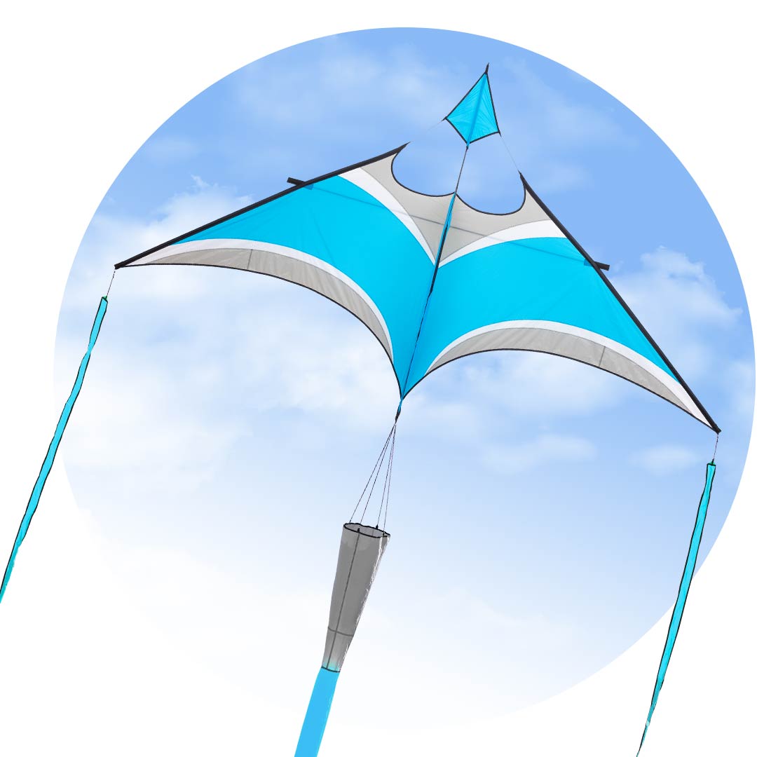 Hoffmanns Canard Delta Aqua