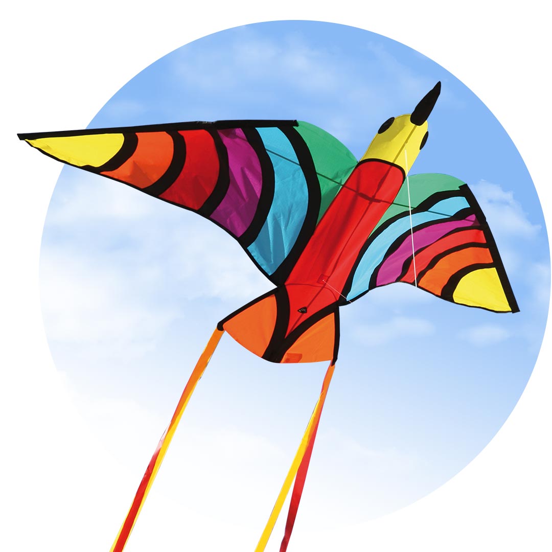 Tropical Bird