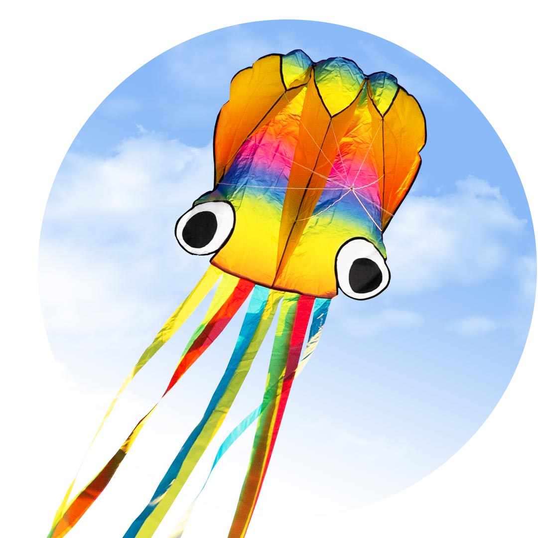 Rainbow Octopus