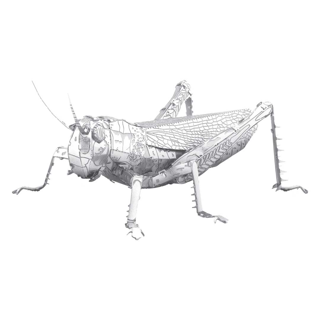 Metal Earth: Grasshopper