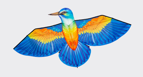 kat_birdkites.jpg
